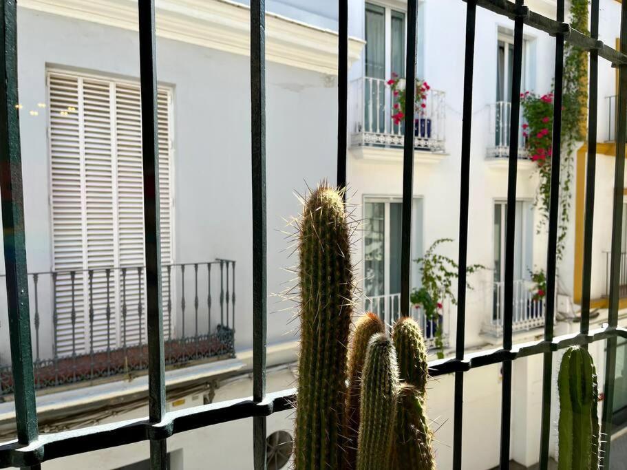 Apartamento Suite Alameda De Hercules Séville Extérieur photo